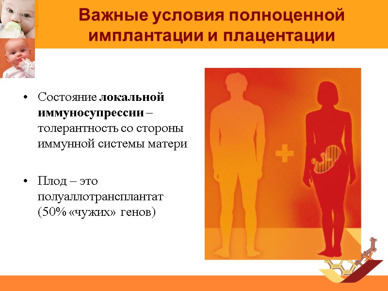 Важные условия полноценной имплантации и плацентации  Состояние локальной иммуносупрессии – толерантность со стороны